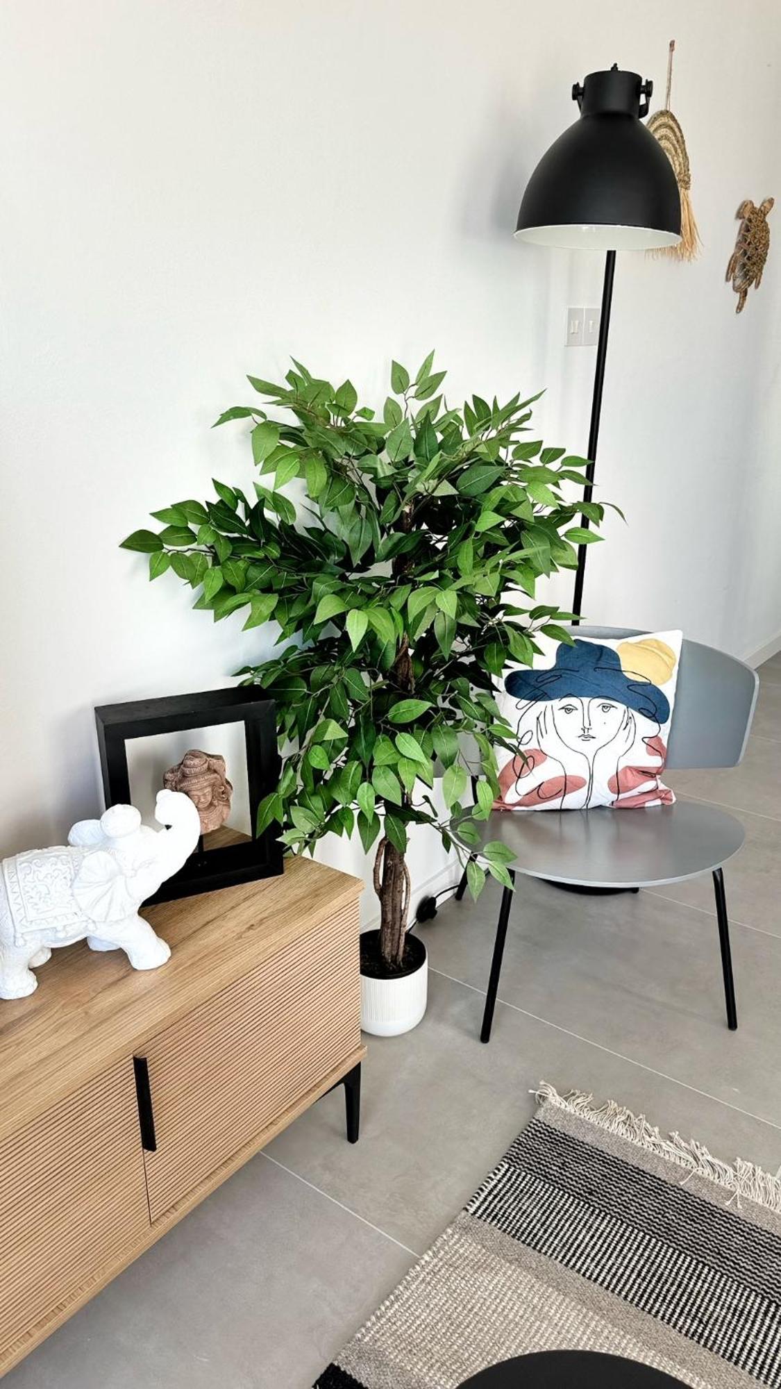 Peyia Paradise Apt 외부 사진